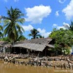 farm-im-mekong-delta-vietnam