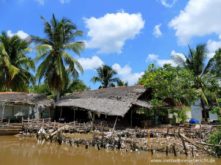 farm im mekong delta vietnam