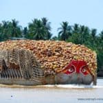 frachtschiff-kokusnuss-mekong-delta-vietnam