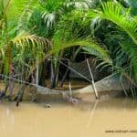 Fischernetz im Mekong Delta Vietnam