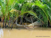 mekong fischernetz reisebericht vietnam