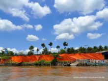 plantage mekong delta vietnam