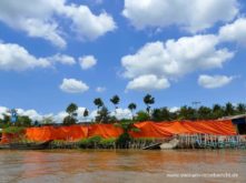 plantage mekong delta vietnam