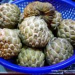 vietnam-reise-bericht-foto140