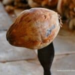 vietnam-reise-bericht-foto155