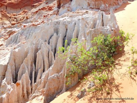 vietnam-reise-bericht-foto170 vietnam reise bericht foto170