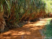 vietnam-reise-bericht-foto177 vietnam reise bericht foto177