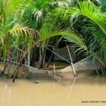 vietnam-reise-bericht-foto210