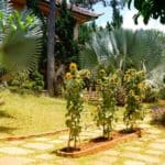 vietnam-reise-bericht-foto248