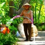 vietnam-reise-bericht-foto48