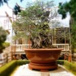 vietnam-reise-bericht-foto98