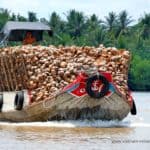 young-boy-boot-kokusnuss-vietnam-mekong-delta