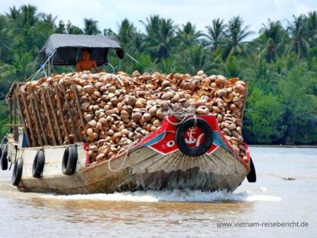 young boy boot kokusnuss vietnam mekong delta