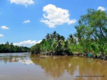 mekong delta wasser ufer